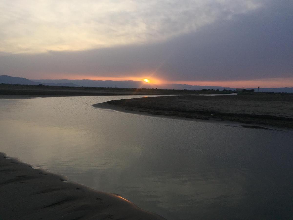 Caseta Del Delta De L'Ebre 산트 하우메 덴베하 외부 사진